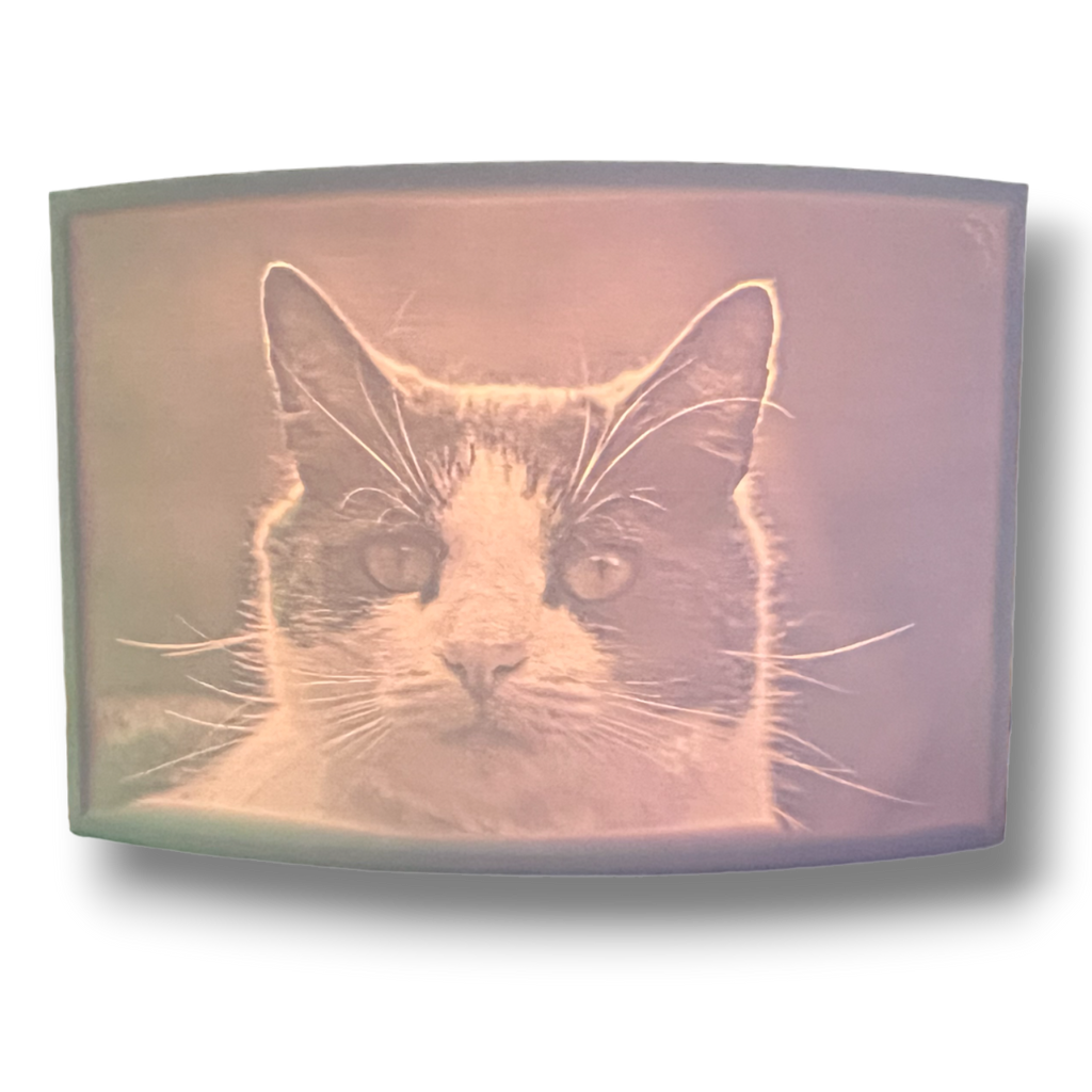 3D gedruckte Lichtbilder 14,5cm x 10cm