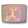 3D gedruckte Lichtbilder 14,5cm x 10cm