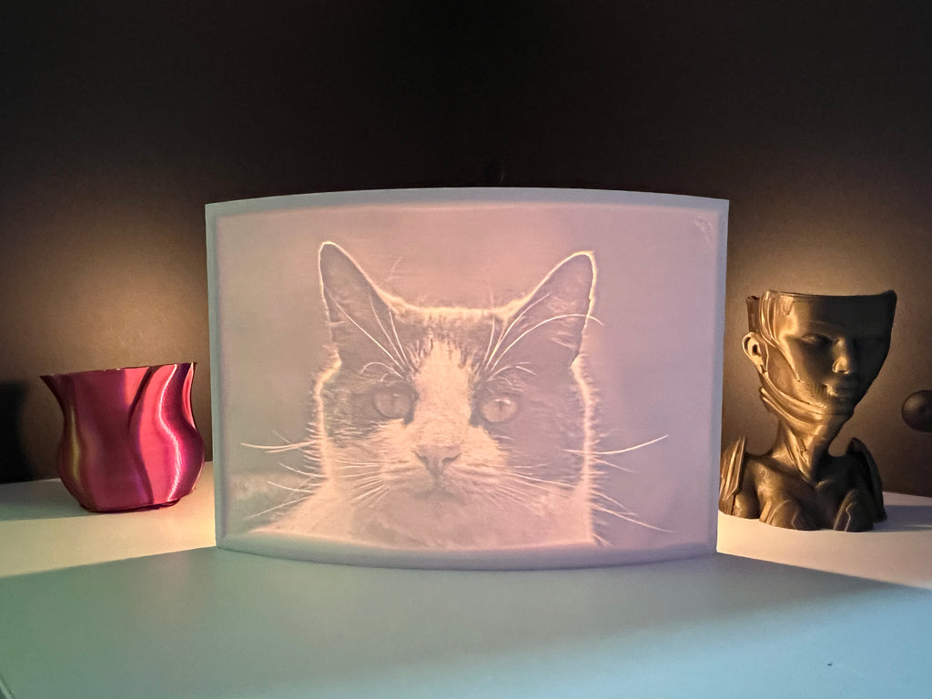 3D gedruckte Lichtbilder 14,5cm x 10cm