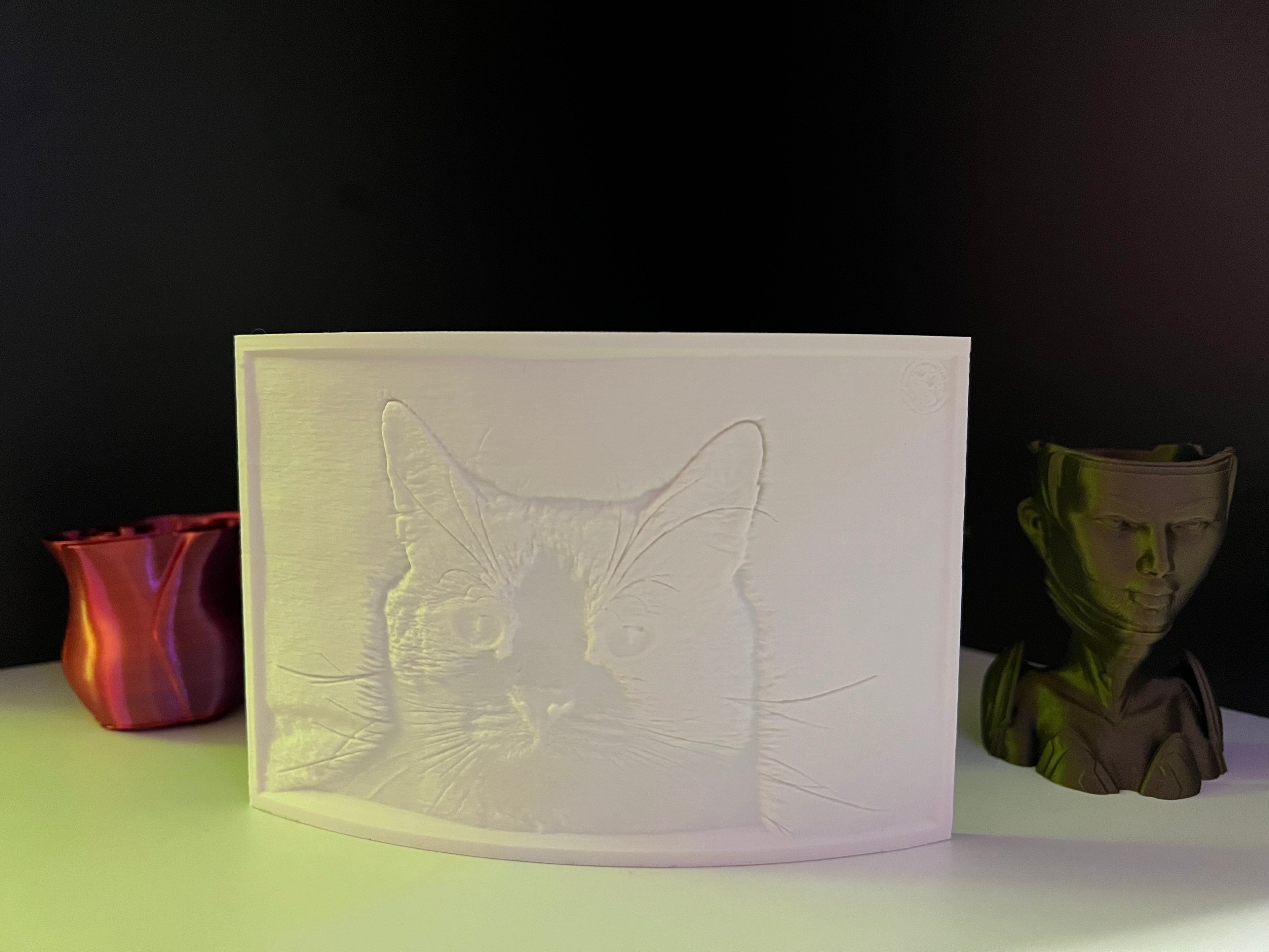 3D gedruckte Lichtbilder 14,5cm x 10cm